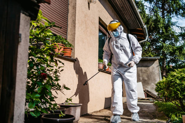 Best Pest Prevention Services  in Clayco, MO