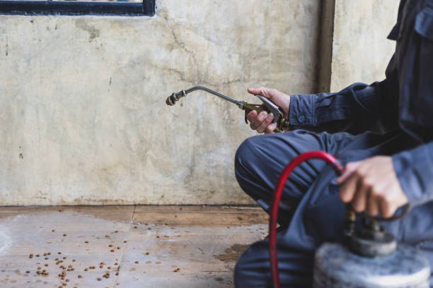 Best Mosquito Control Services  in Clayco, MO