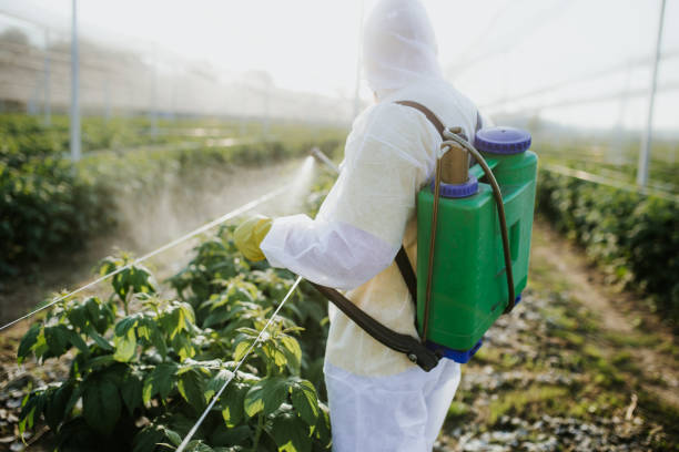 Insect Control in Claycomo, MO